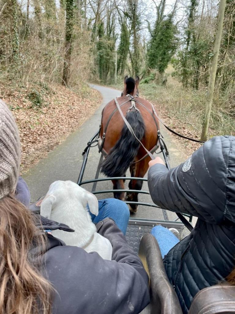 ホテル Le Gite De Gaia Villemer  エクステリア 写真
