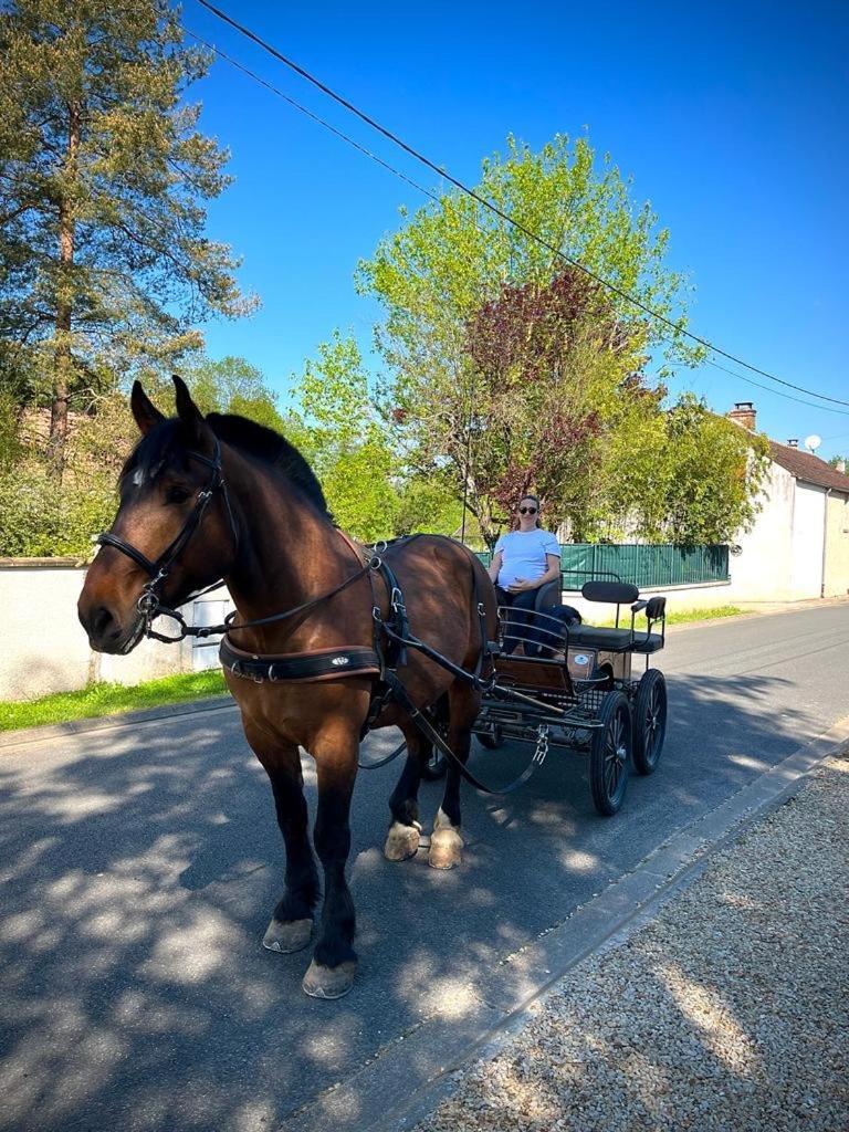 ホテル Le Gite De Gaia Villemer  エクステリア 写真